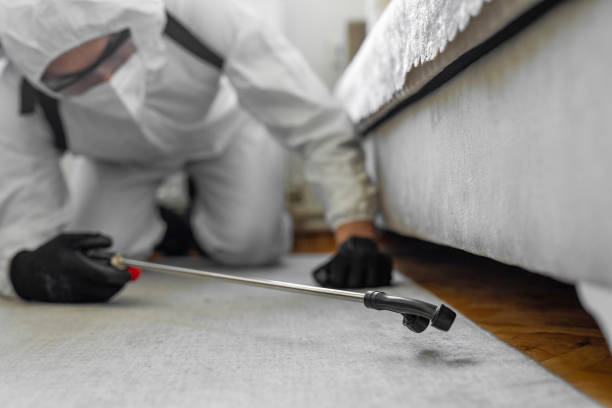 Professional Cockroach Control technician working in Fishers, IN